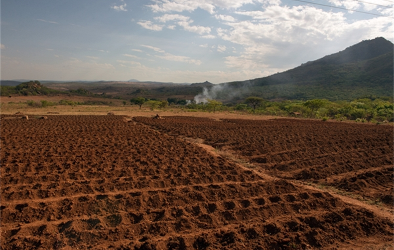 Agricultural lands, Tanzania CREDIT: Julie Larsen Maher/WCS
